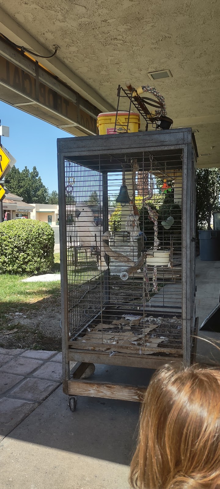 Diar, Inc. | meal takeaway | 2671 Thousand Oaks Blvd, Thousand Oaks, CA 91362, USA | 8054943646 OR +1 805-494-3646