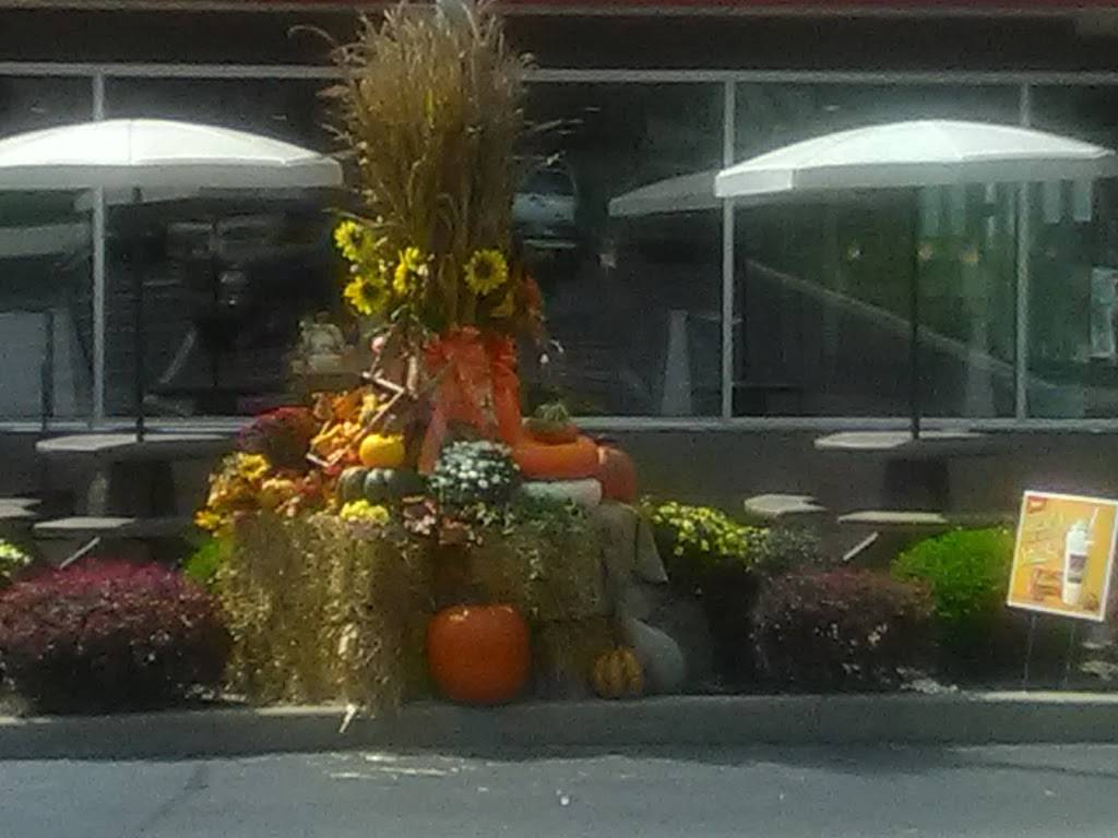 McDonalds | cafe | 720 E W Tom T Hall Blvd, Olive Hill, KY 41164, USA | 6062860203 OR +1 606-286-0203