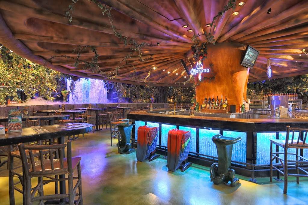Rainforest Cafe | restaurant | 6170 W Grand Ave, Gurnee, IL 60031, USA | 8478557800 OR +1 847-855-7800