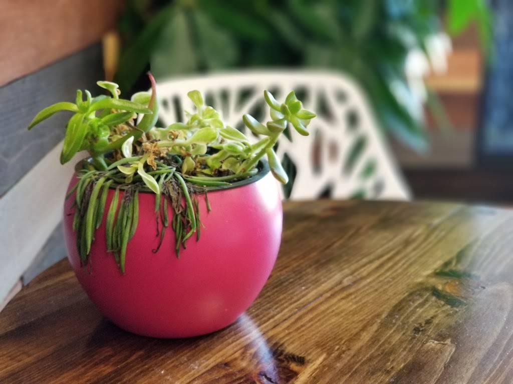 Everbowl | restaurant | 13215-5 Black Mountain Rd, San Diego, CA 92129, USA | 8583657924 OR +1 858-365-7924