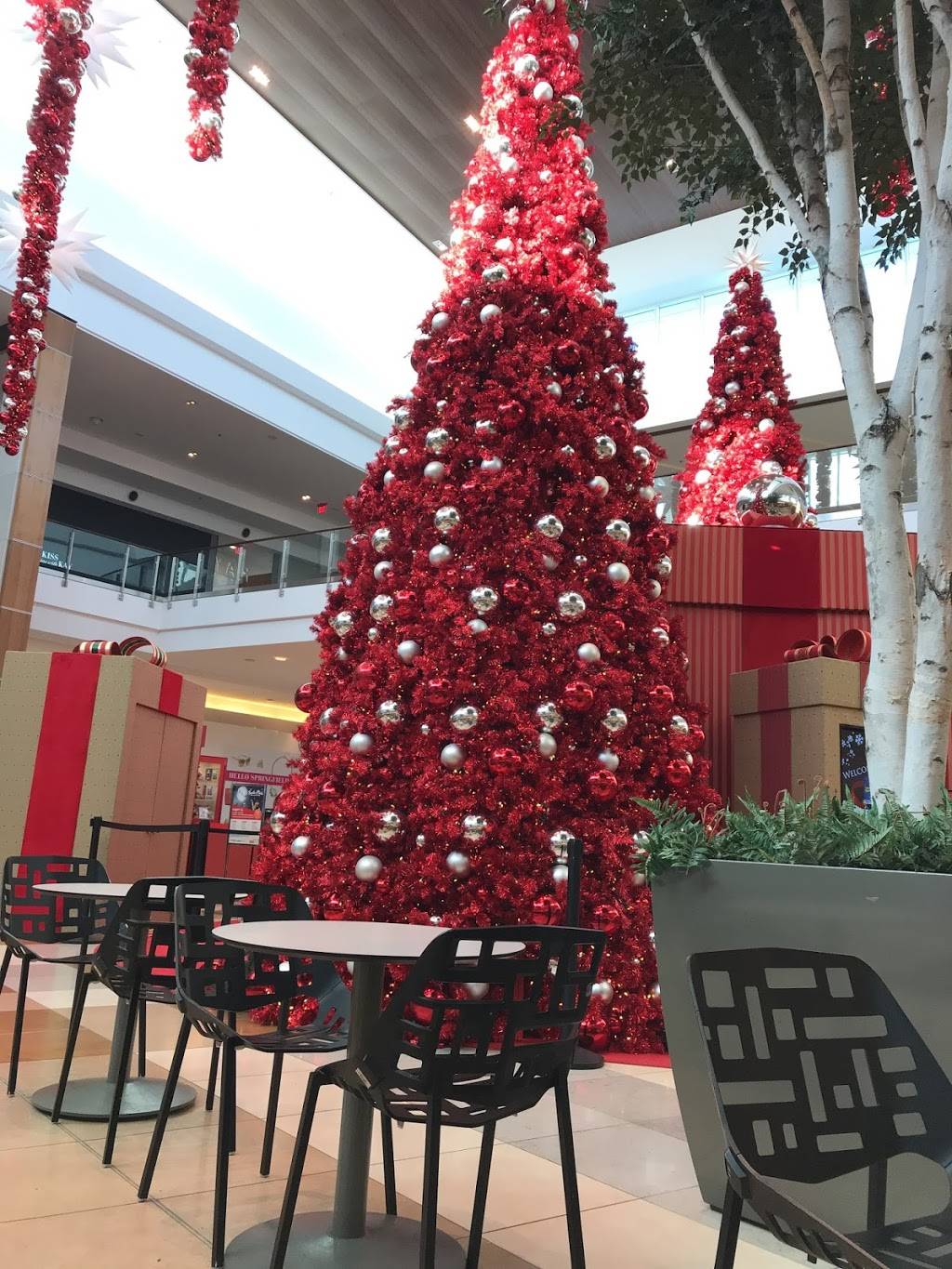 Starbucks | cafe | 6500 Springfield Mall, Springfield, VA 22150, USA | 7039229372 OR +1 703-922-9372