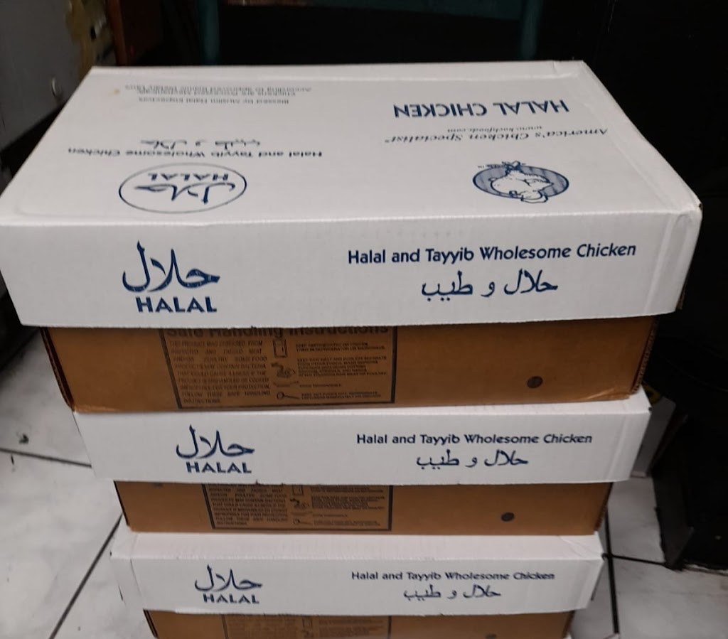 Pizza Rotti & Grill Helal food mediternean. | restaurant | 3142 NE 9th St, Fort Lauderdale, FL 33304, USA | 7862017111 OR +1 786-201-7111