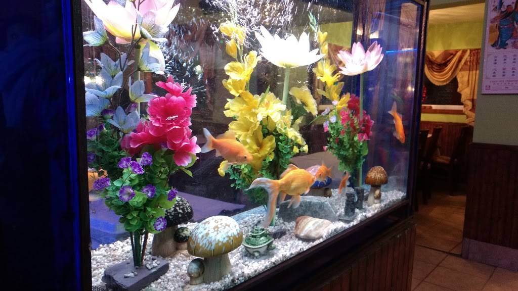 Restaurant Chez Le-An | restaurant | 1906 Boulevard Bastien, Québec, QC G2B 1C1, Canada | 4188434527 OR +1 418-843-4527