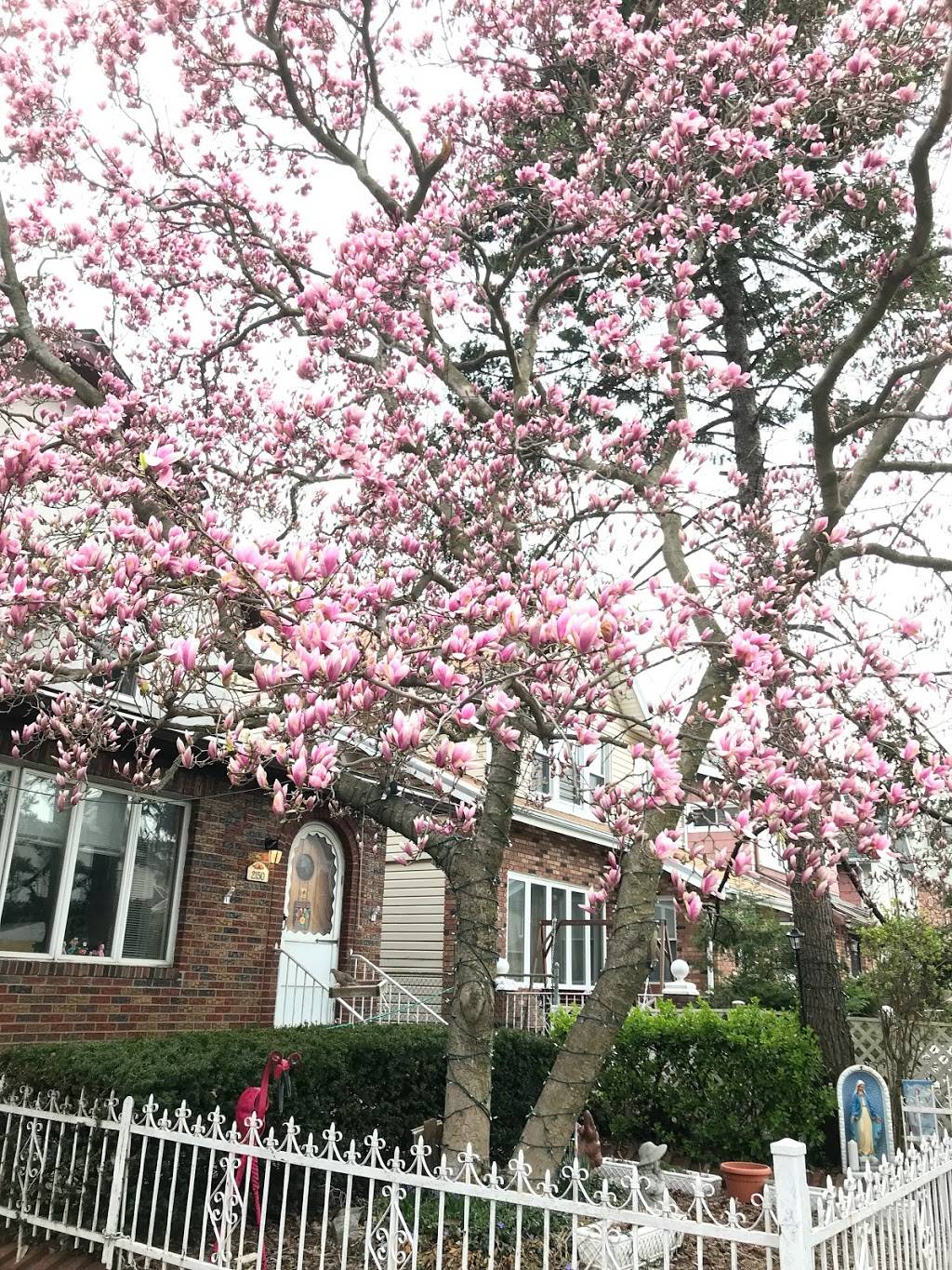 Subway Restaurants | restaurant | 6724 Bay Pkwy, Brooklyn, NY 11204, USA | 3474923888 OR +1 347-492-3888