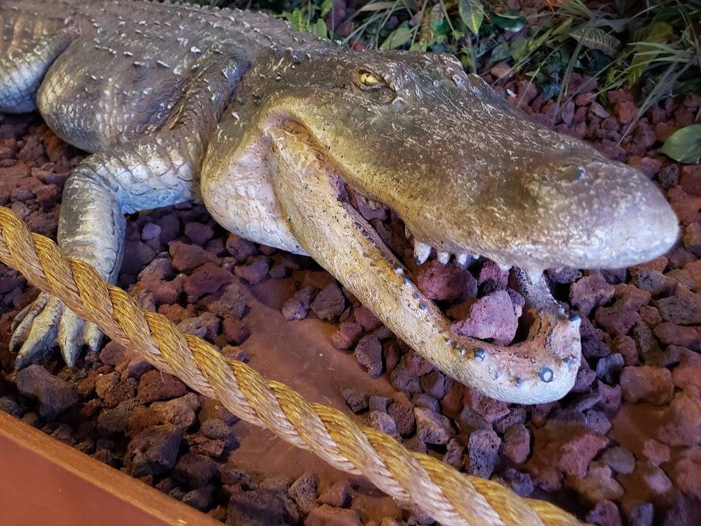 The Boiling Stop | restaurant | 1110 E Parker Rd #108, Plano, TX 75074, USA | 4698140045 OR +1 469-814-0045