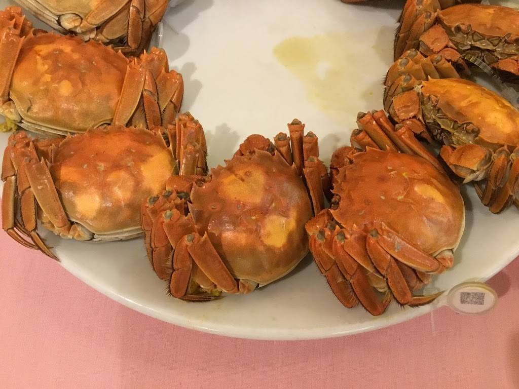 Jin Bao Chinese Restaurant | restaurant | 6824 Bustleton Ave, Philadelphia, PA 19149, USA | 2153331180 OR +1 215-333-1180