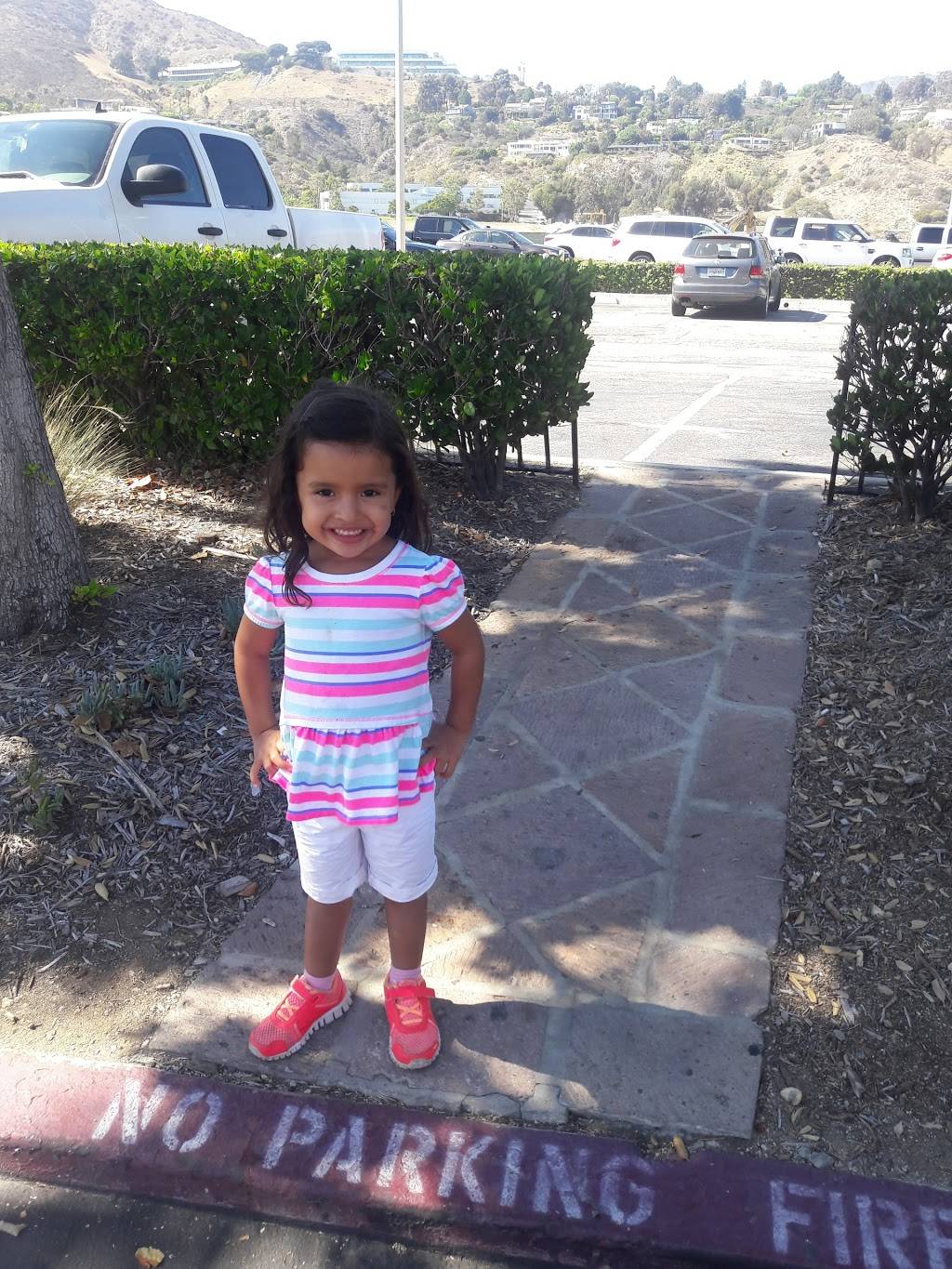 Subway Restaurants | restaurant | 23705 Malibu Rd #200, Malibu, CA 90265, USA | 3104560565 OR +1 310-456-0565