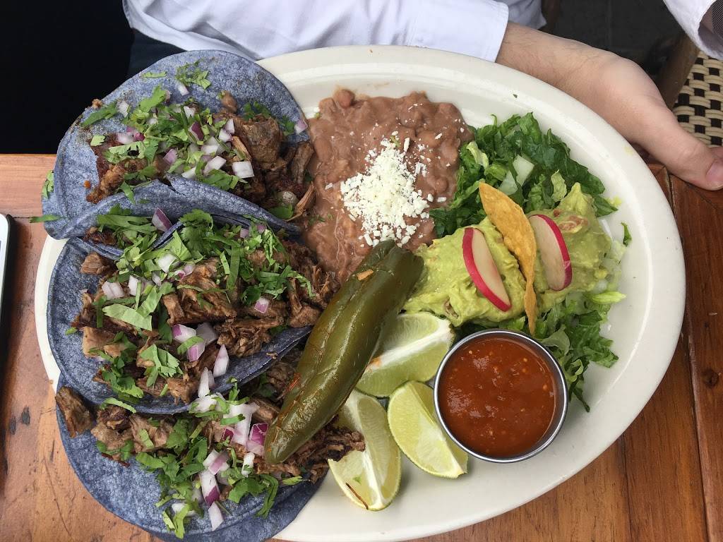 Móle | restaurant | 178 Kent Ave, Brooklyn, NY 11211, USA | 3473842300 OR +1 347-384-2300