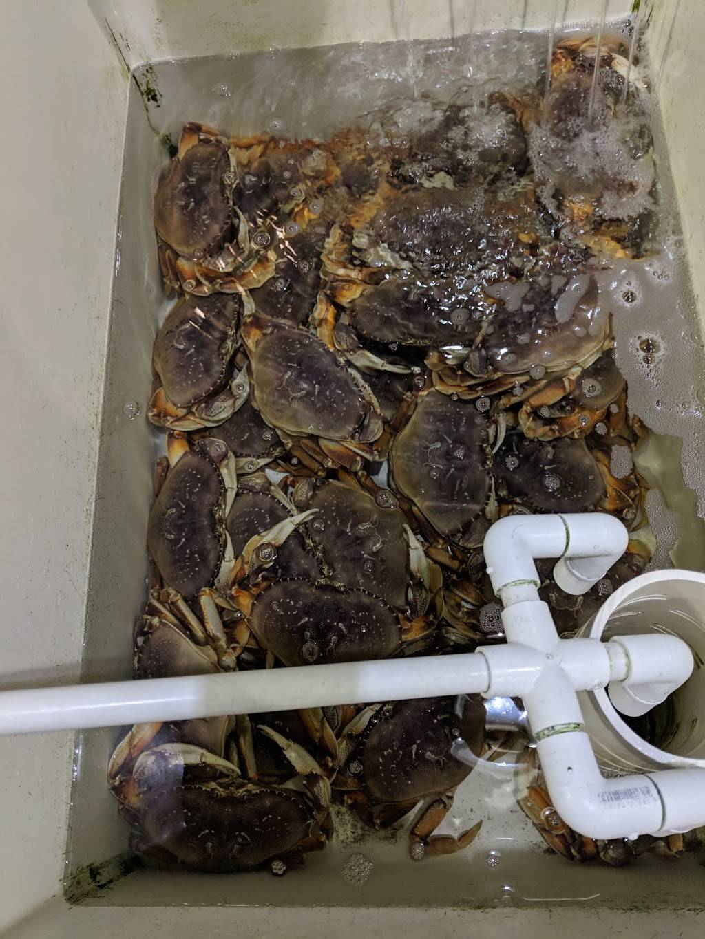 New England Lobster | restaurant | 824 Cowan Rd, Burlingame, CA 94010, USA | 6504431559 OR +1 650-443-1559