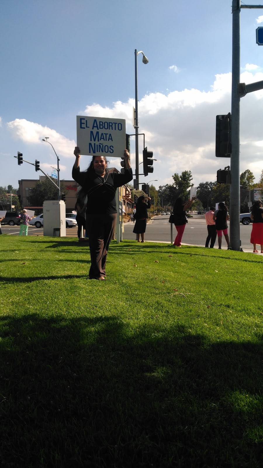 Carls Jr. | restaurant | 23320 Lyons Ave, Newhall, CA 91321, USA | 6612556979 OR +1 661-255-6979