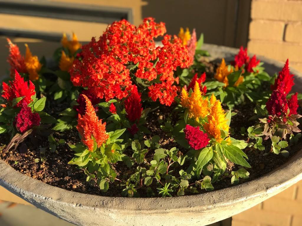 Java Cafe | cafe | 202 W Main St, Wauchula, FL 33873, USA | 8637679004 OR +1 863-767-9004