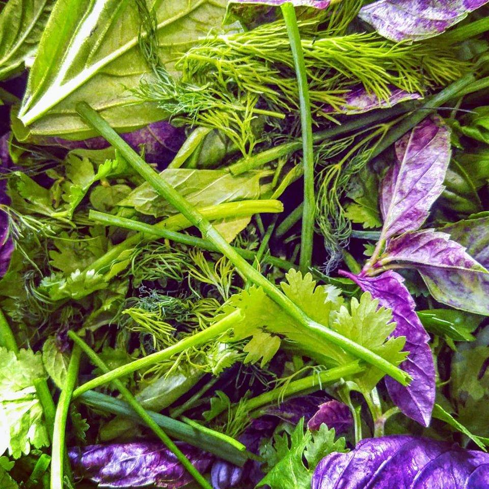 Third Bay - Filling Station | cafe | 136 Depot St, Waynesville, NC 28786, USA | 8282466868 OR +1 828-246-6868