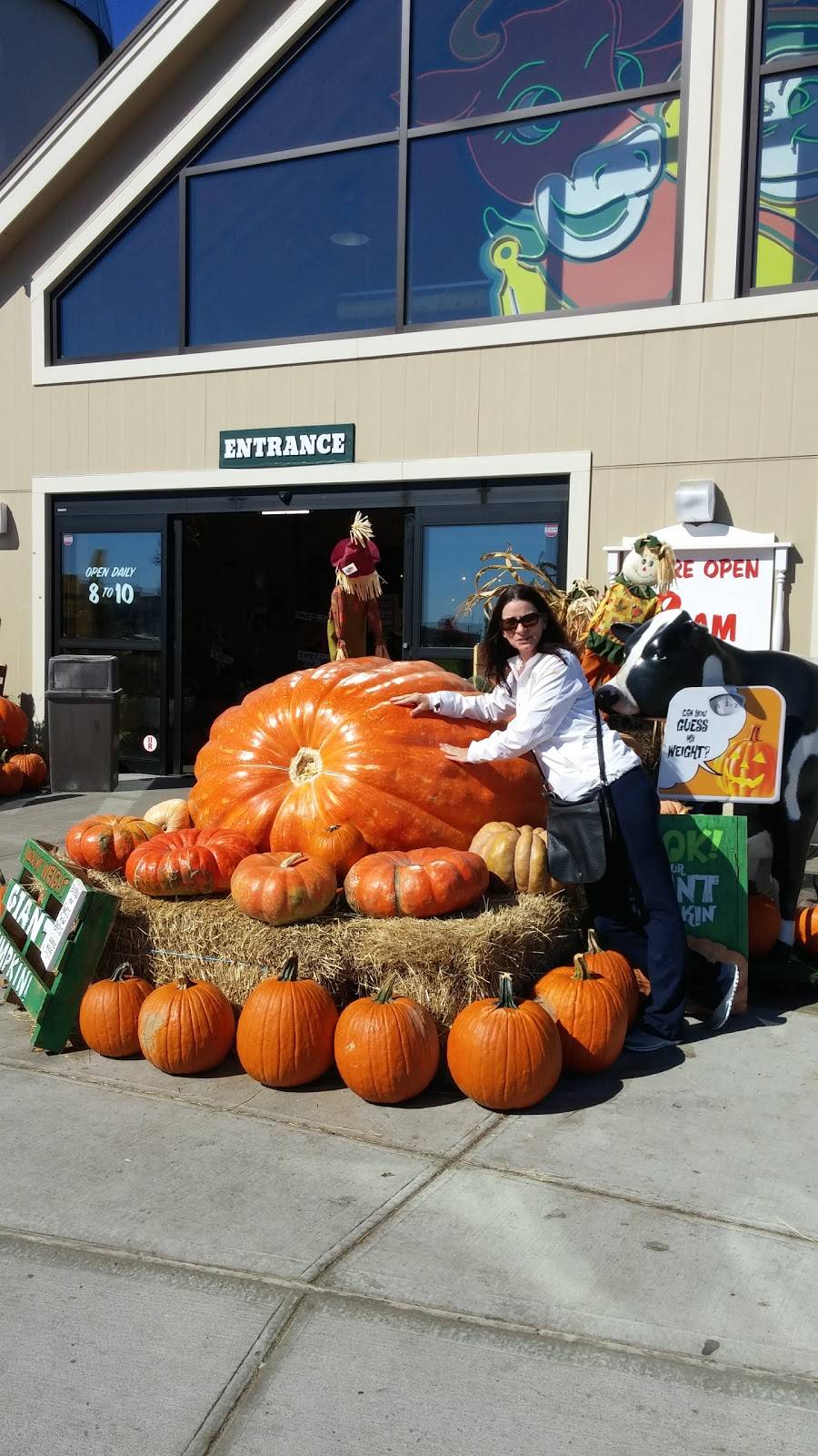 Stew Leonards | bakery | 261 Airport Plaza Blvd, Farmingdale, NY 11735, USA | 5169628210 OR +1 516-962-8210