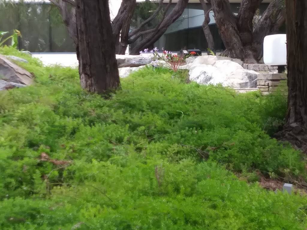 Wateridge | restaurant | 5161 W Slauson Ave, Los Angeles, CA 90056, USA | 3232949444 OR +1 323-294-9444