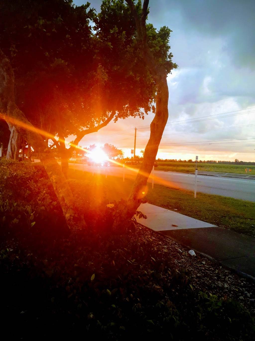 Burger King | restaurant | 16730 SW 88th St, Miami, FL 33196, USA | 3053832113 OR +1 305-383-2113