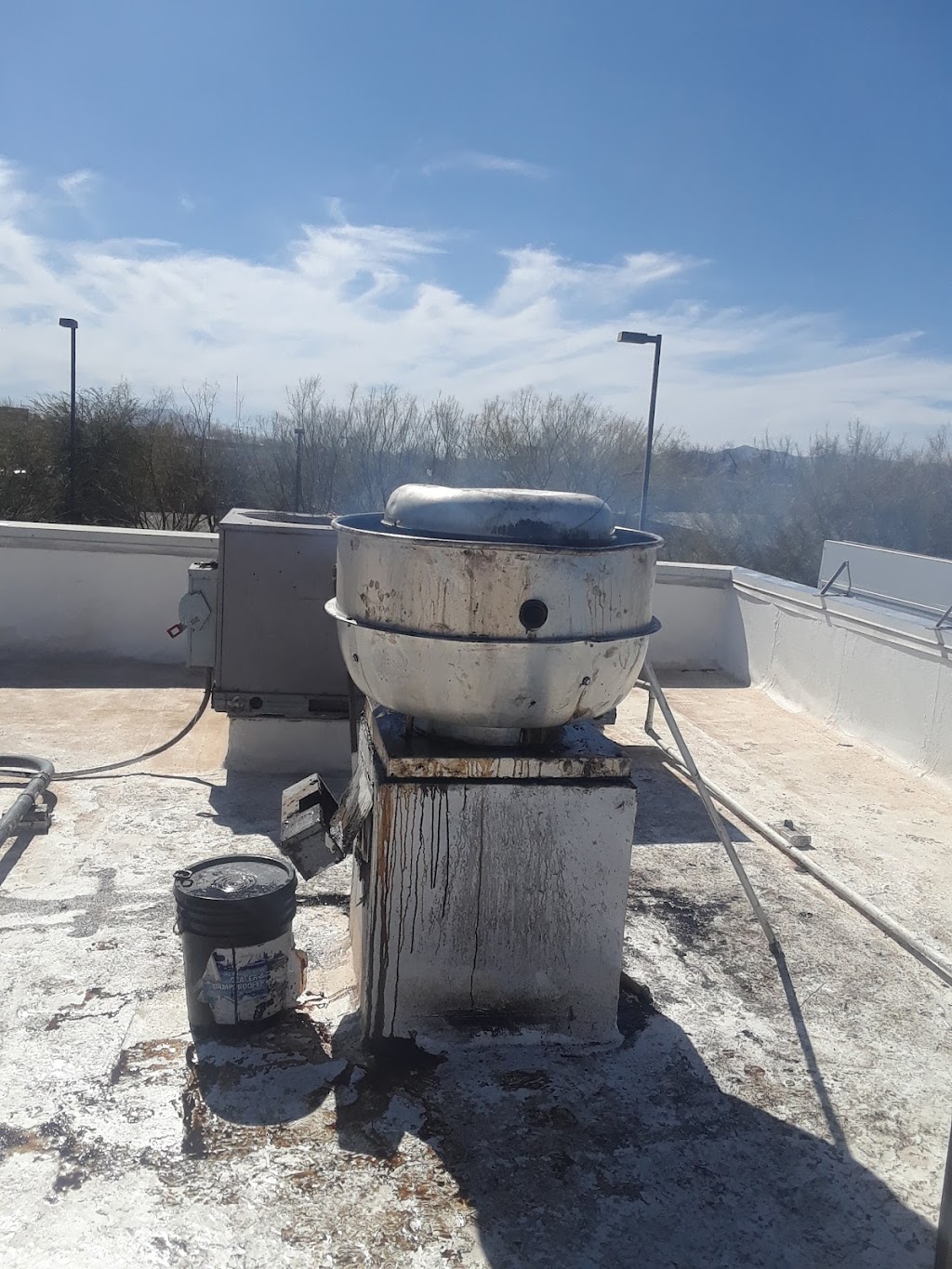 The Family In and Out Restaurant | restaurant | 3854 W Country Ln, McNeal, AZ 85617, USA | 5203646115 OR +1 520-364-6115