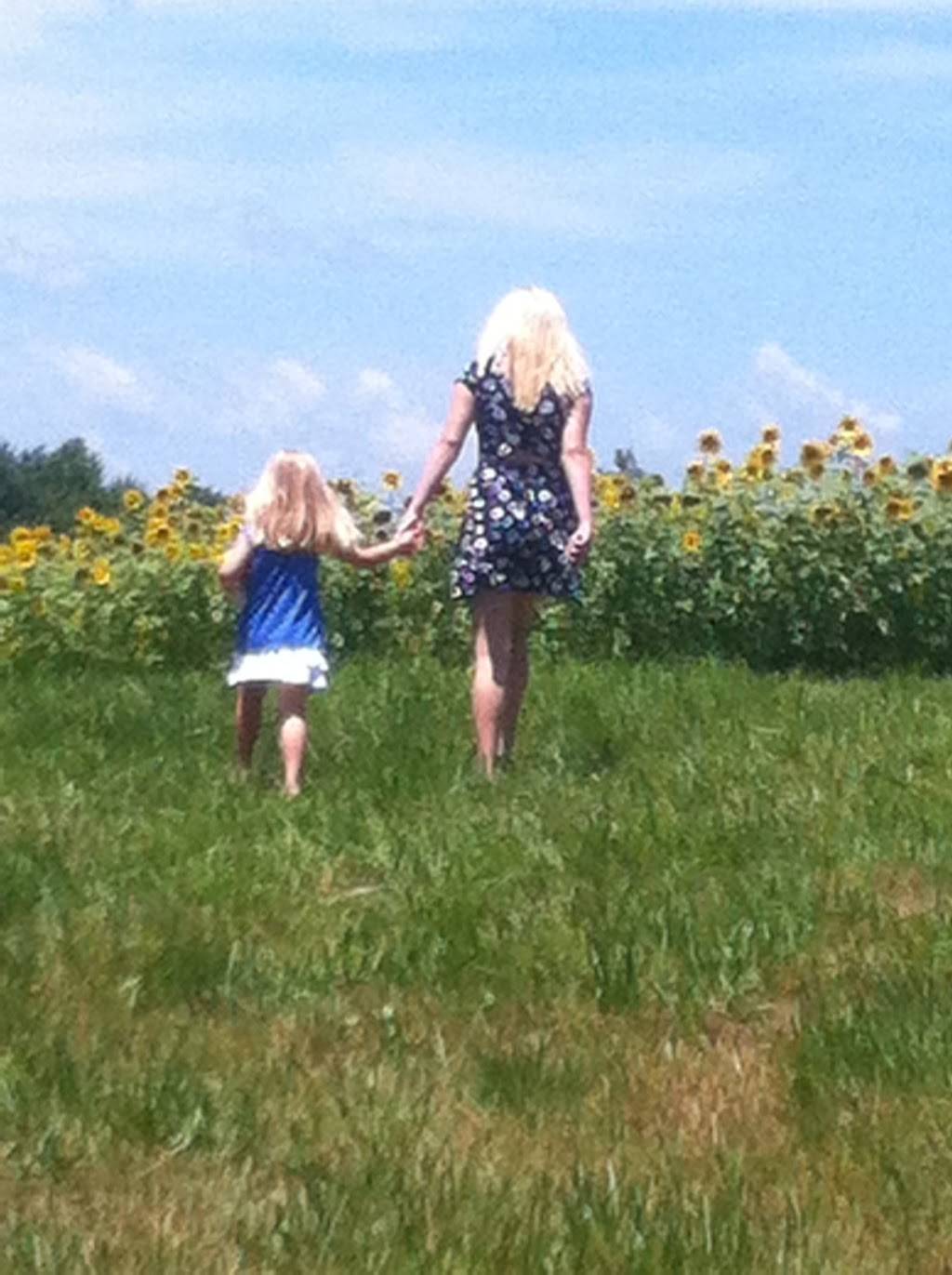 Skyline Bar And Grill | restaurant | 5500 Skyline Dr, Owensboro, KY 42301, USA | 2709298907 OR +1 270-929-8907