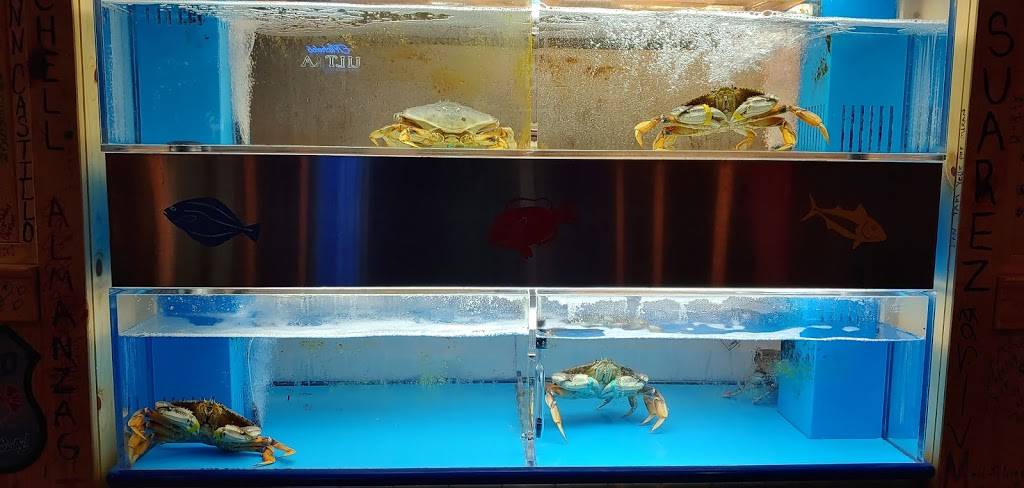 Surfing Crab | restaurant | 6418 S Staples St #124, Corpus Christi, TX 78413, USA | 3614149446 OR +1 361-414-9446