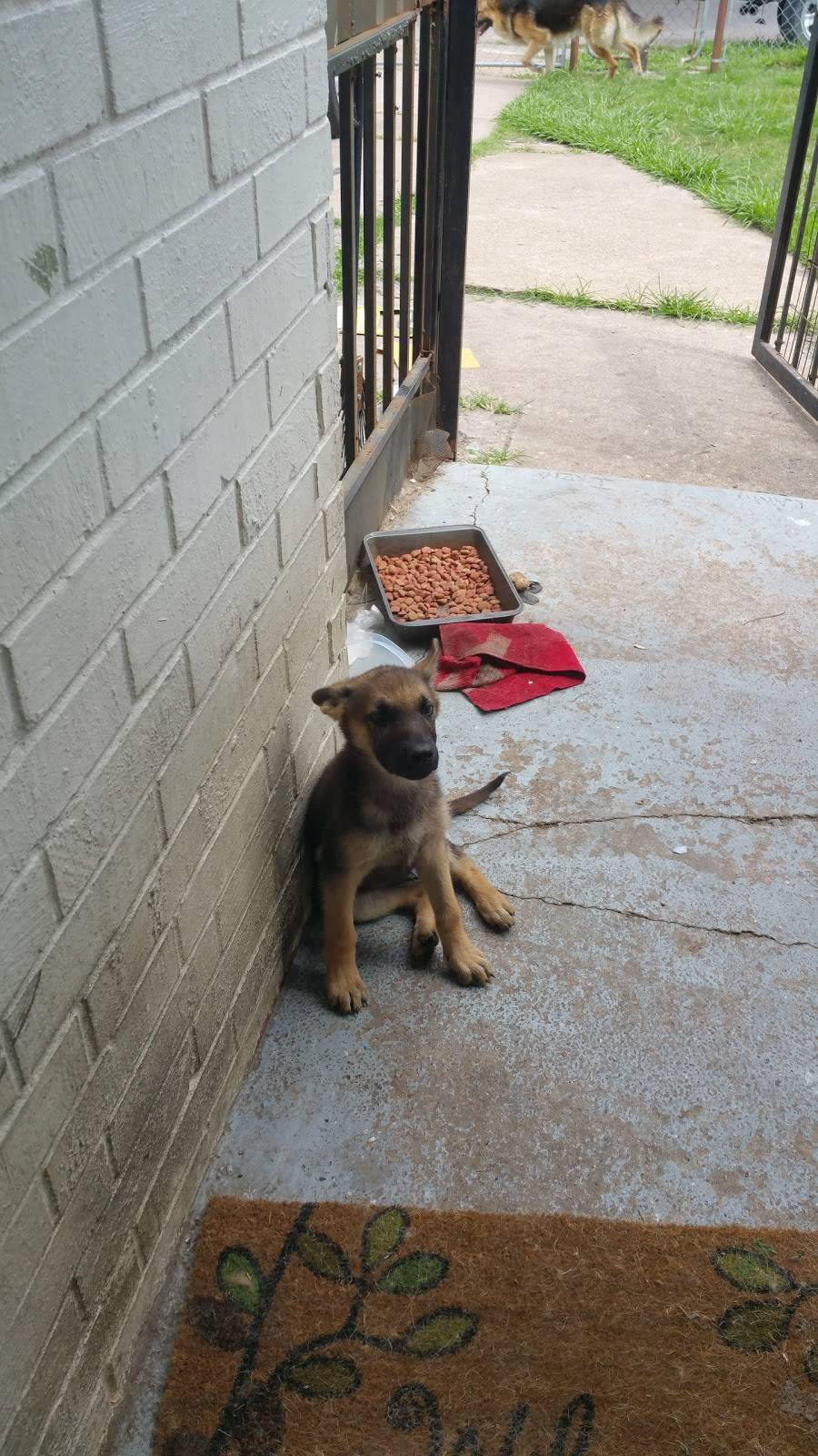 Old Fashion Barbeque | restaurant | 8110 Southbank St, Houston, TX 77033, USA | 7137339424 OR +1 713-733-9424