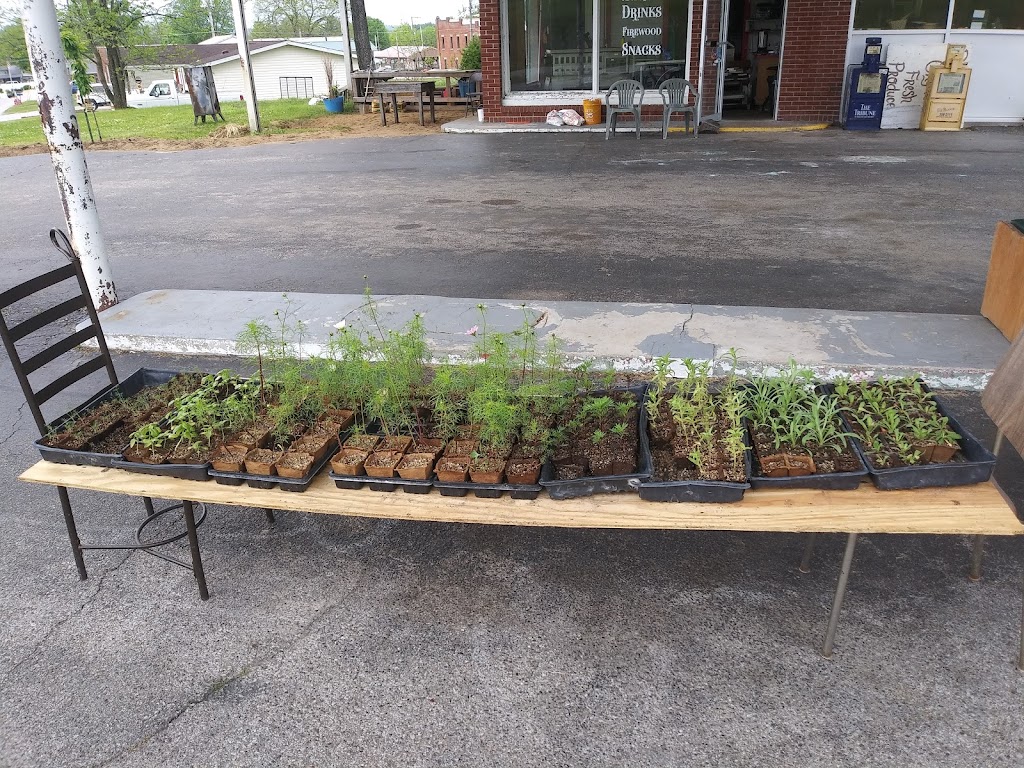 Driftwood trading post | restaurant | 2380 IN-135, Vallonia, IN 47281, USA | 8125287509 OR +1 812-528-7509