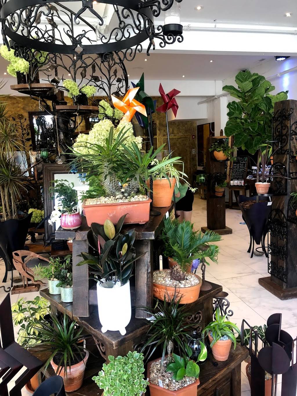 Artesano Cafe & Bistro | cafe | 109 Green Ln, Philadelphia, PA 19127, USA | 2673318457 OR +1 267-331-8457