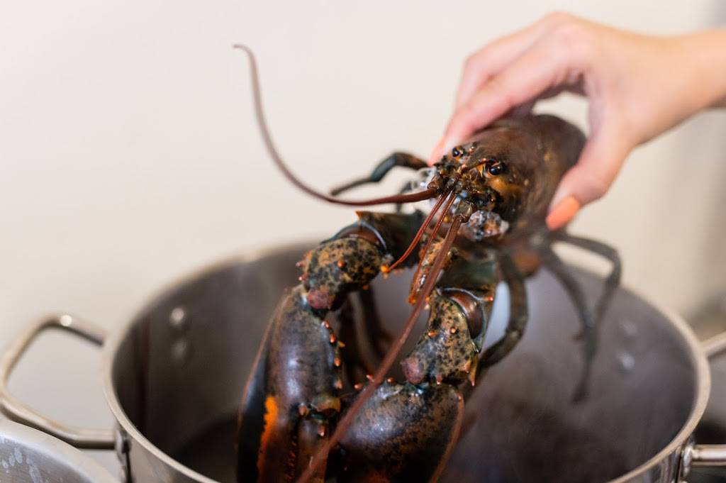 The Lobster Shack | restaurant | 111 W Avenida Palizada #104, San Clemente, CA 92672, USA | 9495031119 OR +1 949-503-1119