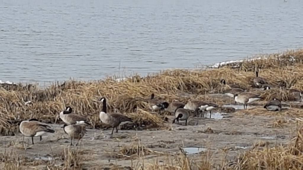 Master Wok | restaurant | 5100 Kings Plaza, Brooklyn, NY 11234, USA | 7182536842 OR +1 718-253-6842