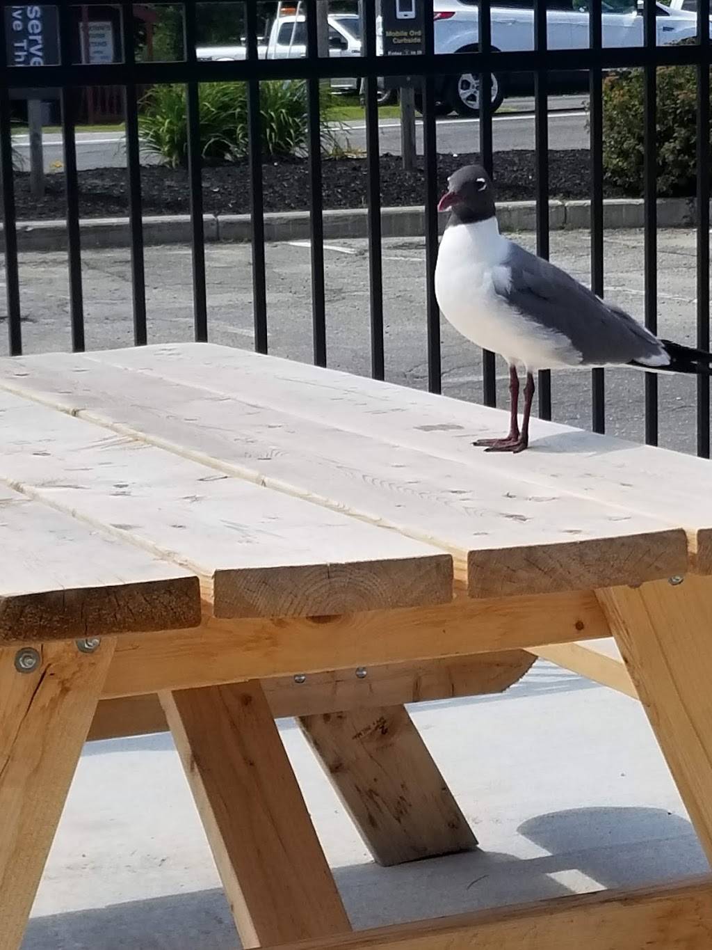 McDonalds | cafe | 485 Main St #1, Damariscotta, ME 04543, USA | 2075638434 OR +1 207-563-8434