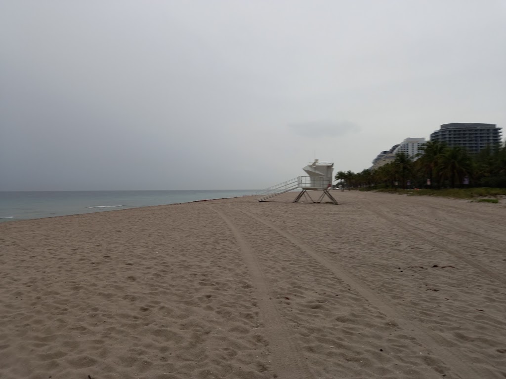 Pizza Rotti & Grill Helal food mediternean. | restaurant | 3142 NE 9th St, Fort Lauderdale, FL 33304, USA | 7862017111 OR +1 786-201-7111