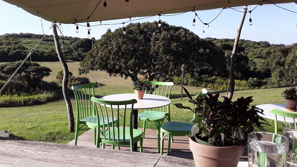 Outermost Inn | restaurant | 81 Lighthouse Rd, Aquinnah, MA 02535, USA | 5086453511 OR +1 508-645-3511