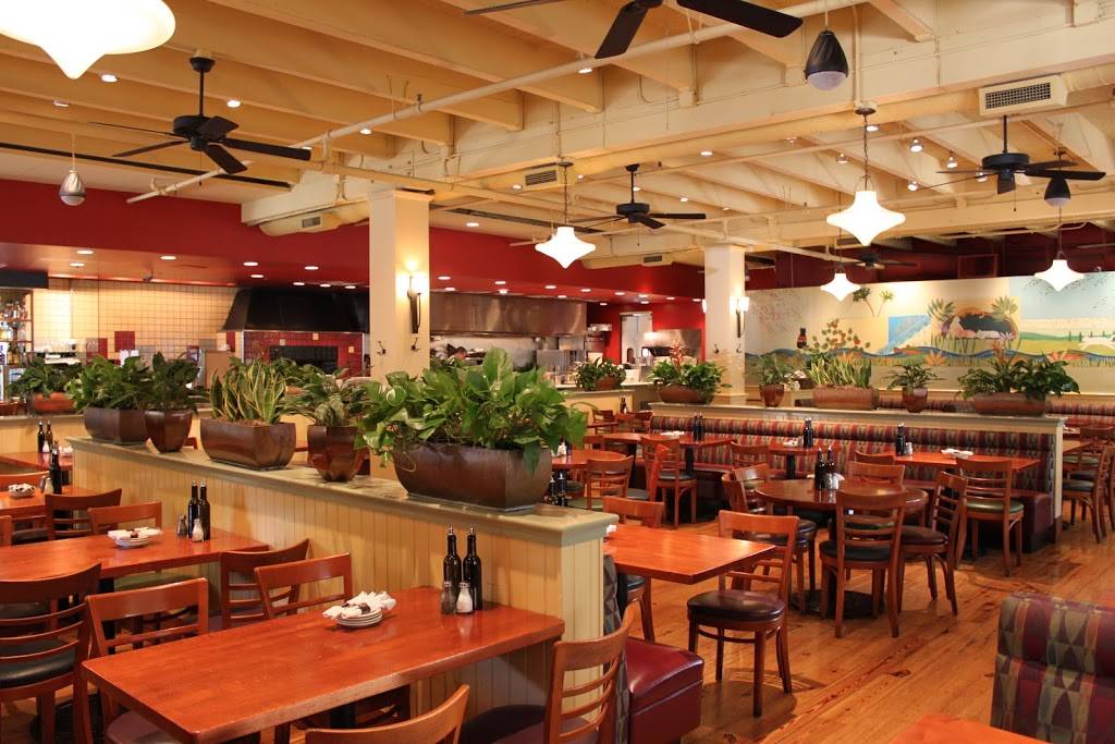 Willow Street | restaurant | 20 S Santa Cruz Ave, Los Gatos, CA 95030, USA | 4083545566 OR +1 408-354-5566