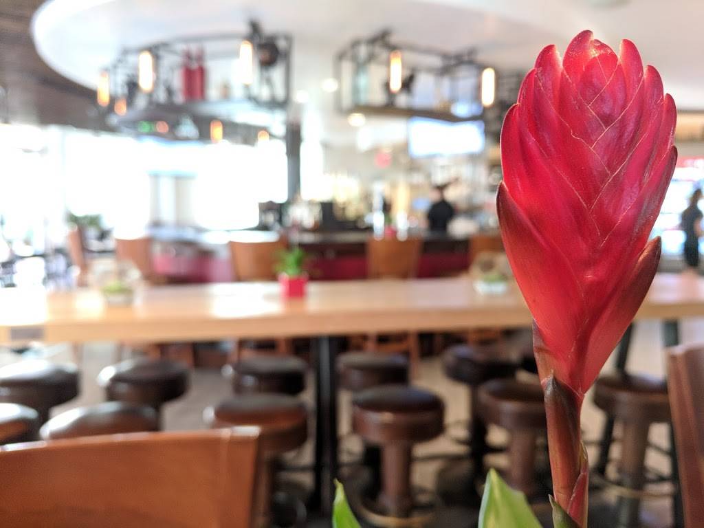 360 American Bistro and Bar | restaurant | 225 Celebration Pl, Celebration, FL 34747, USA | 4079647676 OR +1 407-964-7676