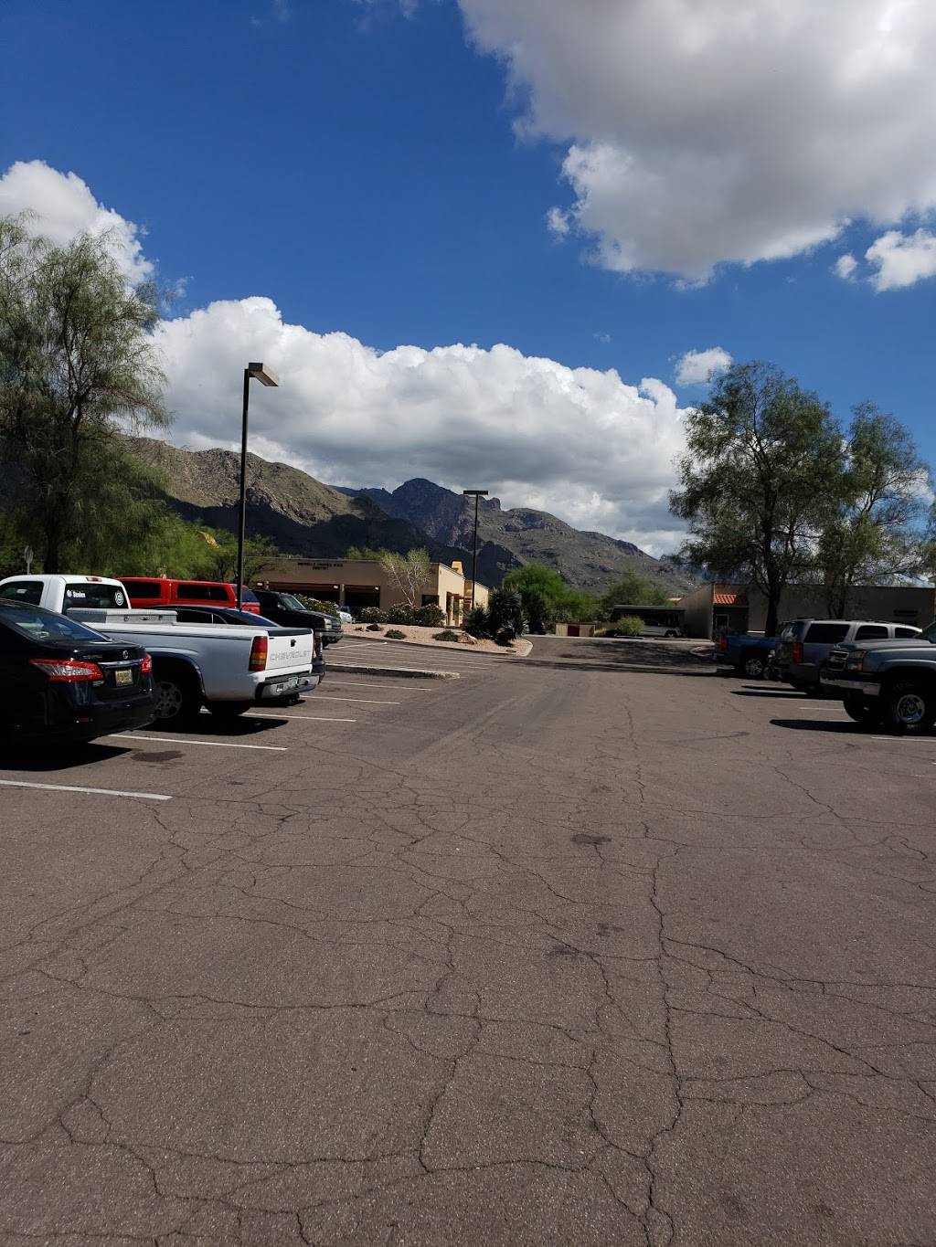 Arbys | meal takeaway | 8060 N Oracle Rd, Oro Valley, AZ 85704, USA | 5205446003 OR +1 520-544-6003