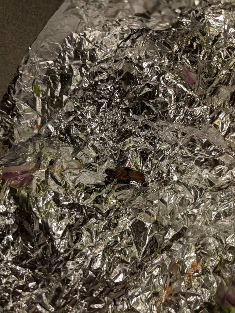 Tipicos Dona & Gloria Restaurant | restaurant | 317 S Sterling Blvd, Sterling, VA 20164, USA | 7034212232 OR +1 703-421-2232