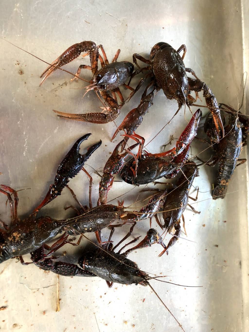 Sand Bar | restaurant | 1798 River Rd, Kilgore, TX 75662, USA | 9039846555 OR +1 903-984-6555