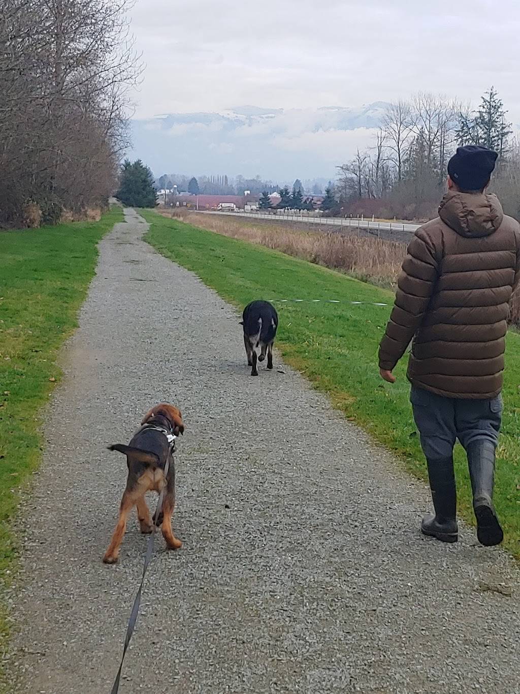 Costco Food Court | meal takeaway | 1725 S Burlington Blvd, Burlington, WA 98233, USA | 3607575719 OR +1 360-757-5719