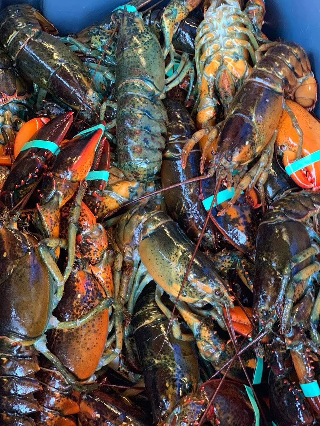 Blue Collar Lobster Co. | restaurant | 63 Rogers St, Gloucester, MA 01930, USA | 9782831812 OR +1 978-283-1812