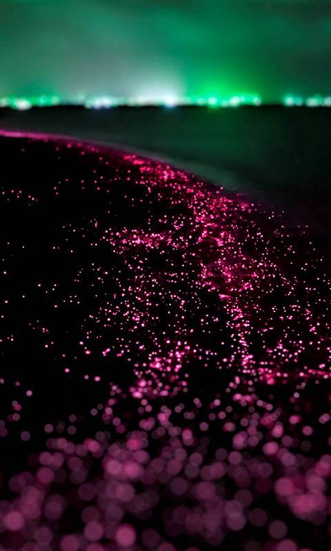 Shaw Dairy Restaurant | restaurant | 12810 Shaw Ave, Cleveland, OH 44108, USA | 2165414116 OR +1 216-541-4116