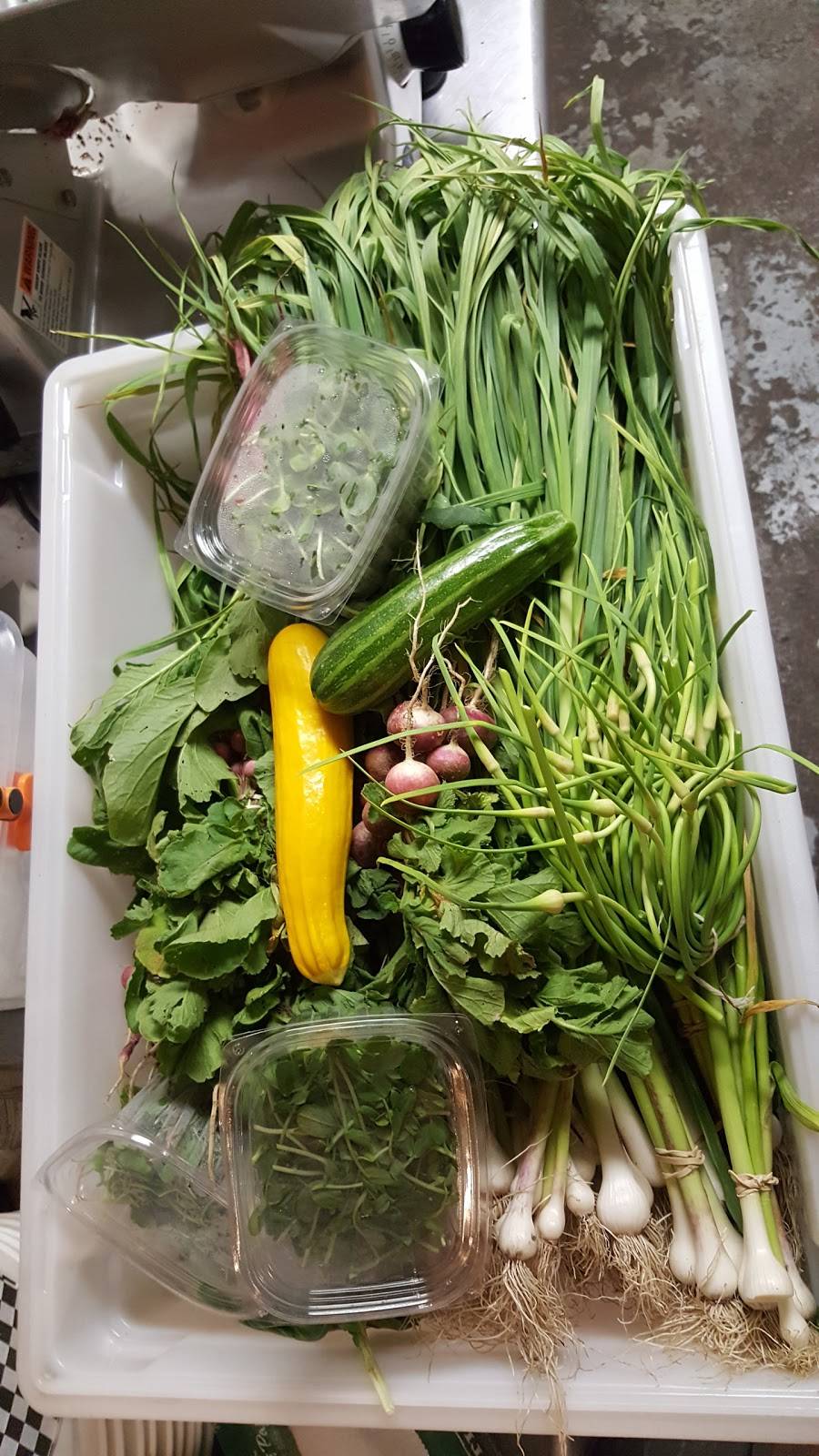 Tatoheads Public House | restaurant | 1297 Parsons Ave, Columbus, OH 43206, USA | 6147252101 OR +1 614-725-2101