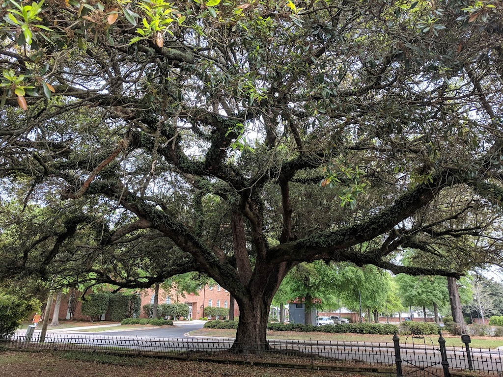 1912 Bed and Breakfast | restaurant | 24 Warren St, Sumter, SC 29150, USA | 8038834598 OR +1 803-883-4598