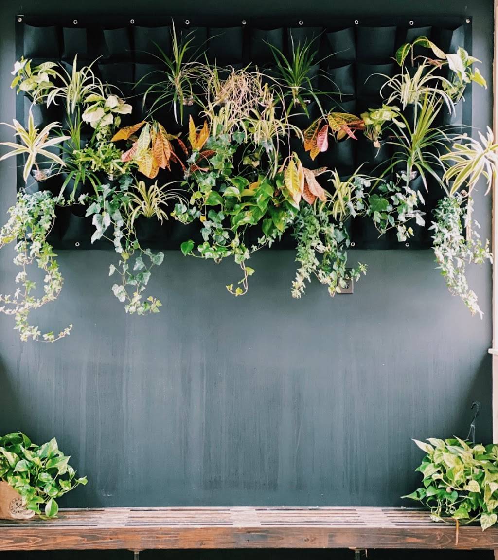 Square One Eats & Treats | restaurant | 4750 W Walton Blvd, Waterford Twp, MI 48329, United States | 2487421450 OR +1 248-742-1450