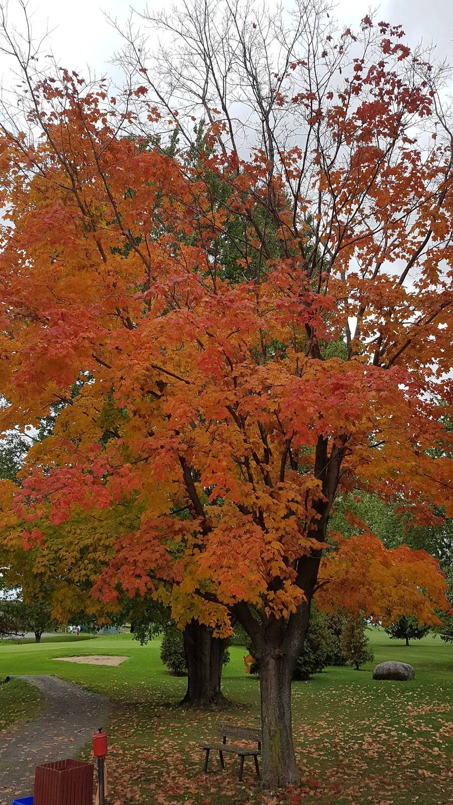 Morrisburg Golf Club | restaurant | 15 Laurier Dr, Morrisburg, ON K0C 1X0, Canada | 6135433282 OR +1 613-543-3282