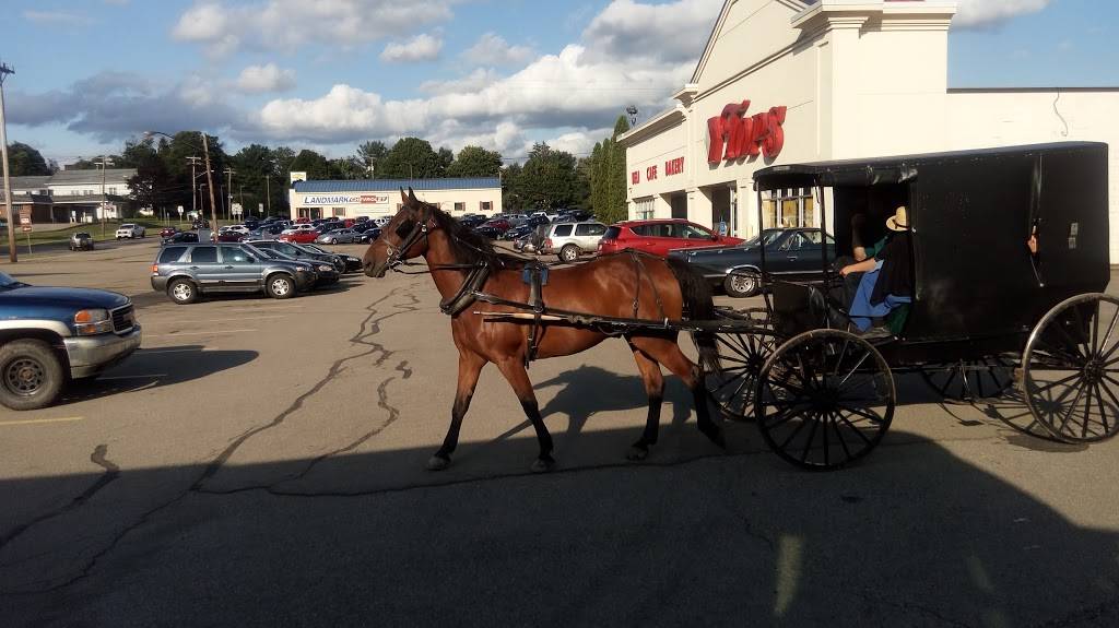 Pilot Travel Center | restaurant | 2309 Smithtown Rd, Morgantown, WV 26508, USA | 3042848518 OR +1 304-284-8518