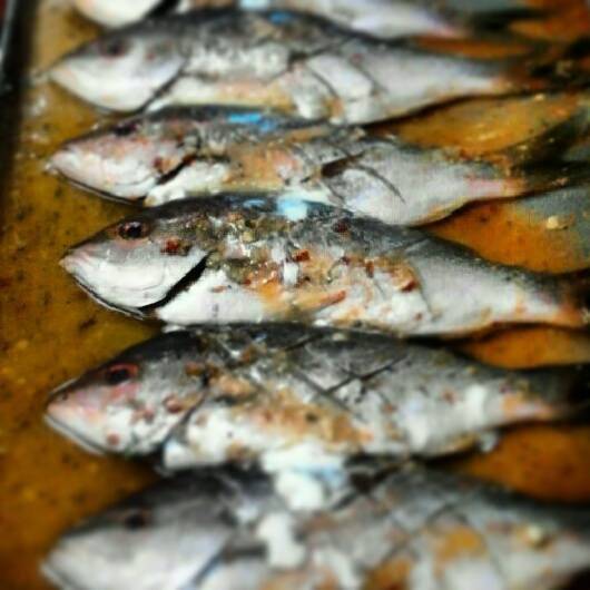 Poison Ivy Pub | restaurant | 5765 Elevator Rd, Roscoe, IL 61073, USA | 8156231480 OR +1 815-623-1480