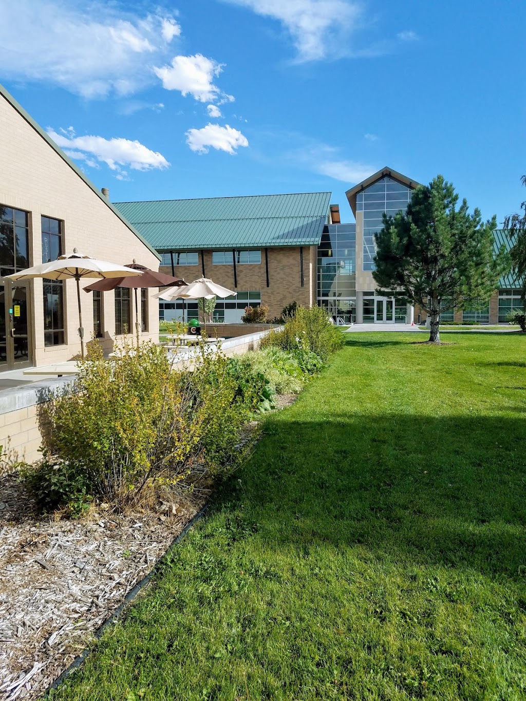 Rustys Corner (CWCs Food Court) | restaurant | Riverton, WY 82501, USA | 3078552153 OR +1 307-855-2153