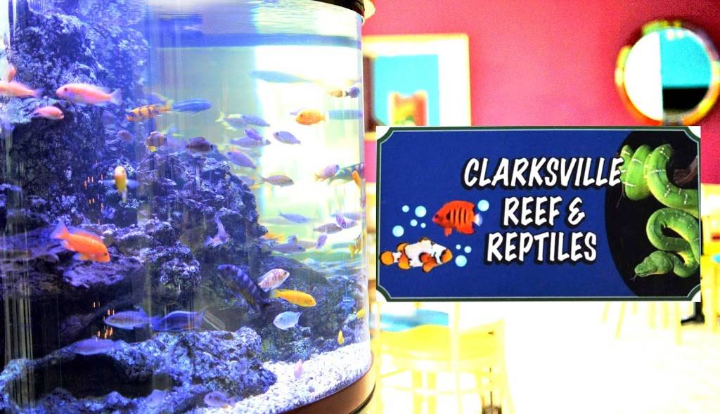 The Wonderland Cafe | restaurant | 329 Warfield Blvd suite h, Clarksville, TN 37043, USA | 9315526344 OR +1 931-552-6344