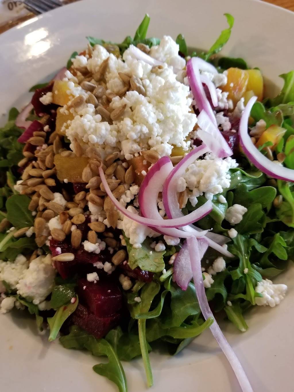 Fins Ale House & Raw Bar | restaurant | 19269 Coastal Hwy, Rehoboth Beach, DE 19971, USA | 3022273467 OR +1 302-227-3467