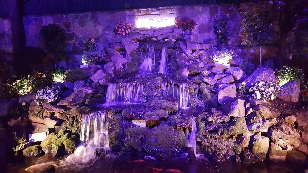 Mulinos of Westchester | restaurant | 99 Court St, White Plains, NY 10601, USA | 9147611818 OR +1 914-761-1818