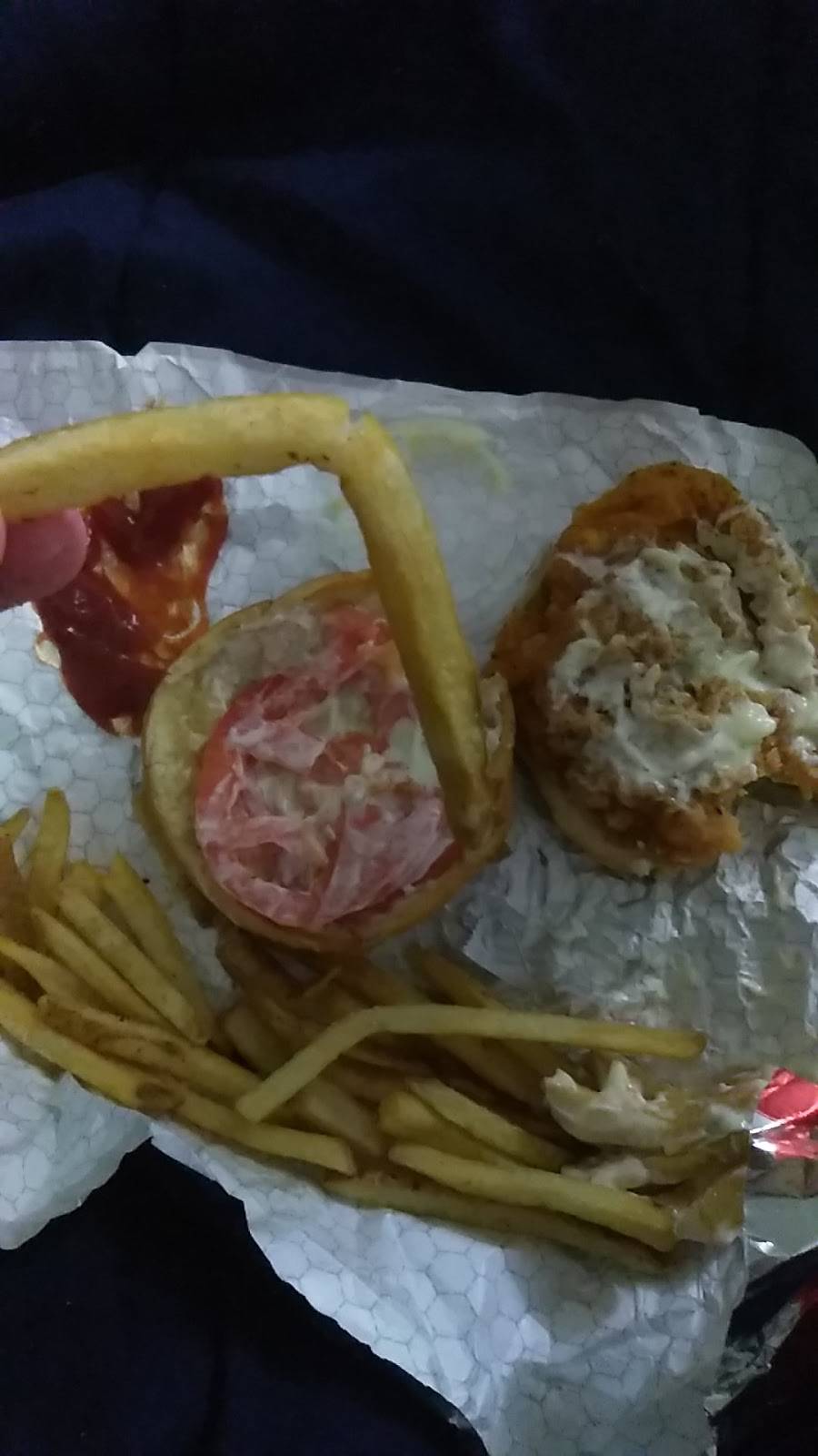 Wendys | restaurant | 3643 N Campbell Ave, Tucson, AZ 85719, USA | 5203198139 OR +1 520-319-8139