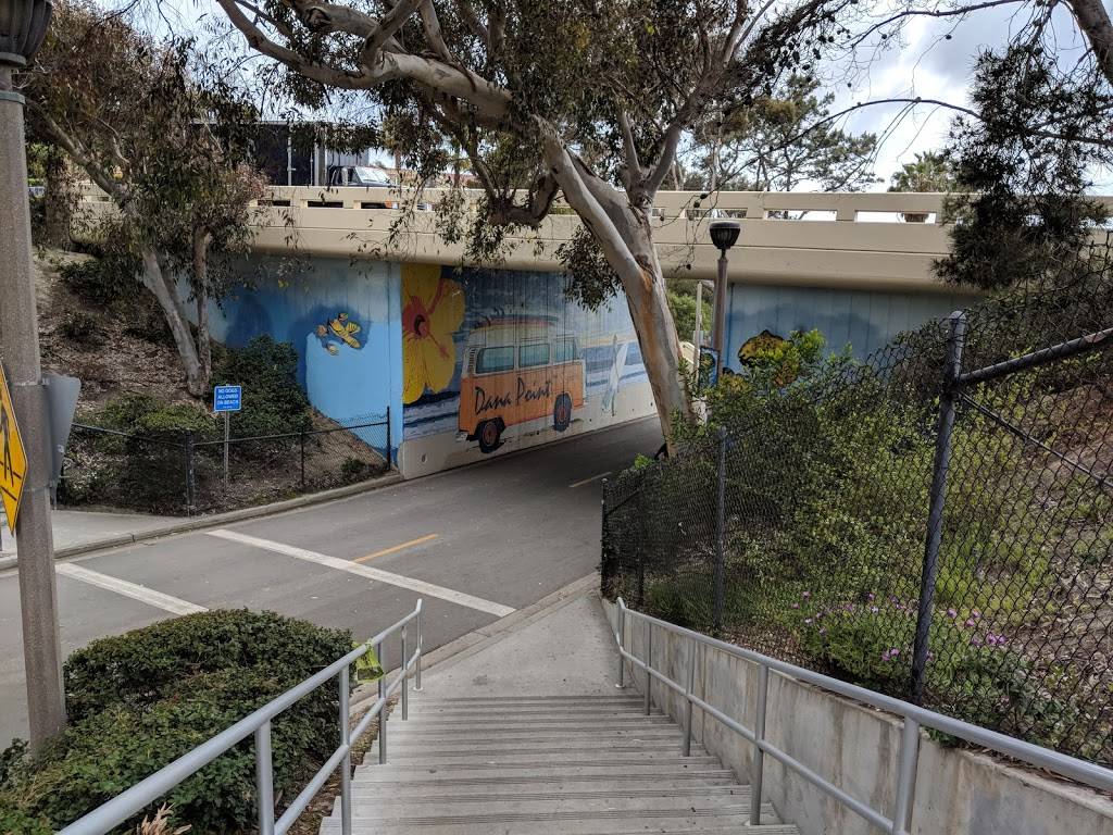 Salt Creek On the Beach Burger | meal takeaway | 33333 Pacific Coast Hwy, Dana Point, CA 92629, USA | 9496611803 OR +1 949-661-1803